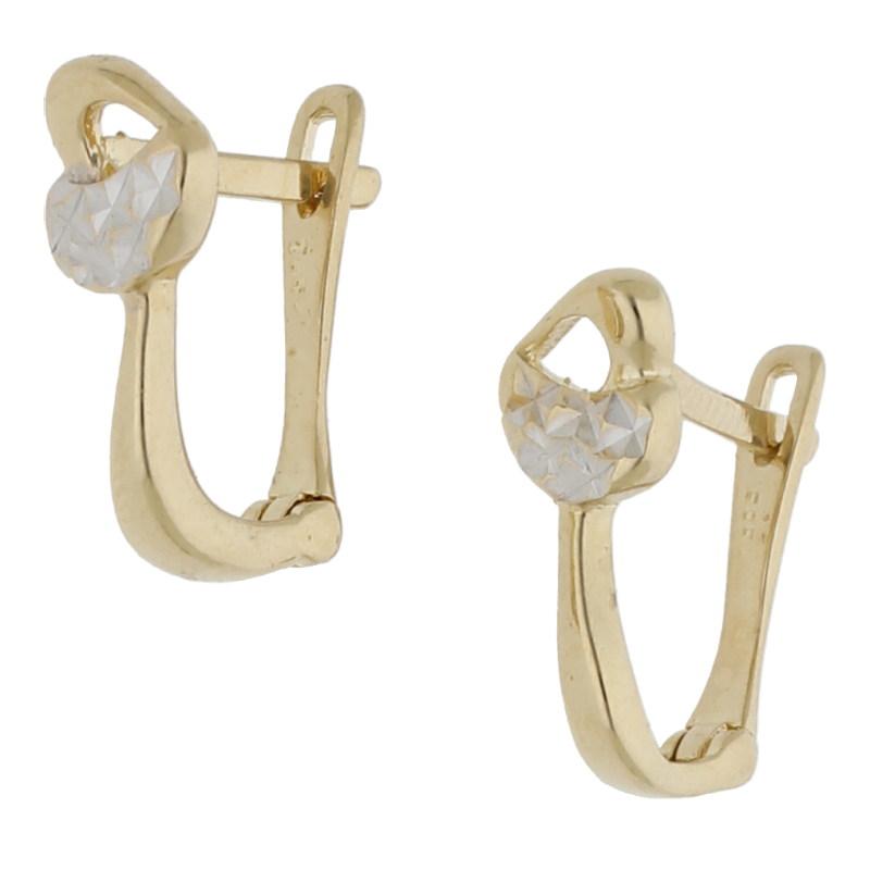 Dezente Ohrringe 585 Gold Bicolor