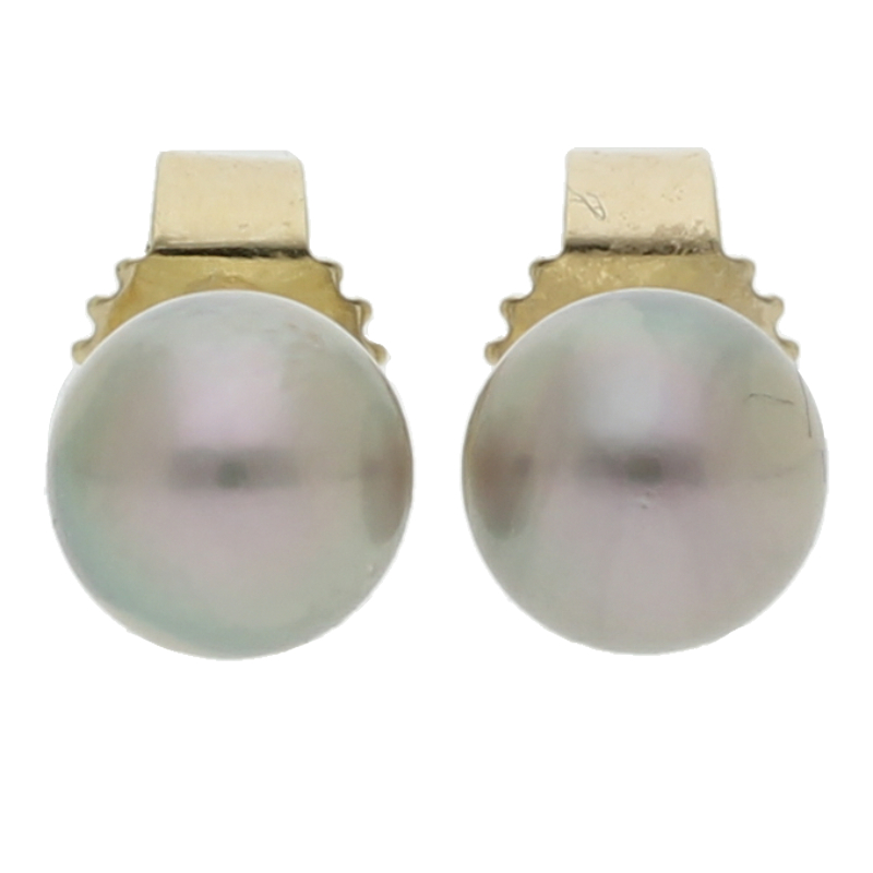 Zuchtperlen Ohrstecker Gold 585