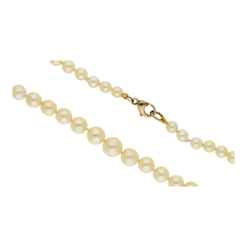 Zuchtperlenkette im Verlauf333/8 K Gelbgold 41 cm Länge