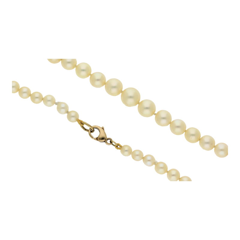 Zuchtperlenkette im Verlauf333/8 K Gelbgold 41 cm Länge