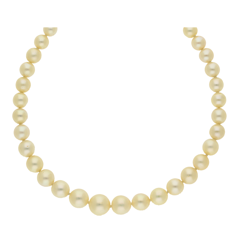 Zuchtperlenkette im Verlauf333/8 K Gelbgold 41 cm Länge